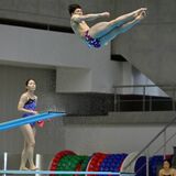 飛び込み日本代表公開練習　榎本、須山も技磨く