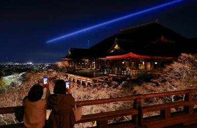 夜桜が彩る京都・清水寺の舞台