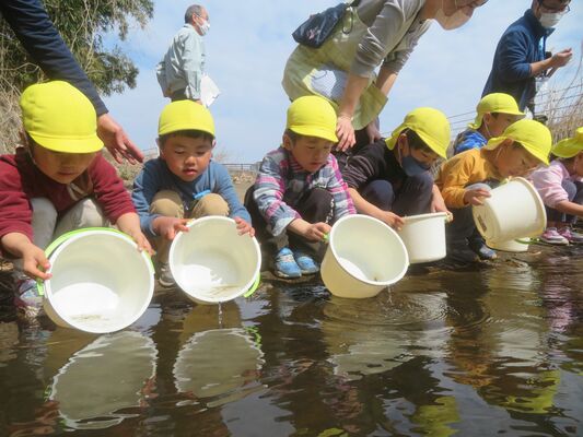 小貝川にキンブナを放流する園児たち