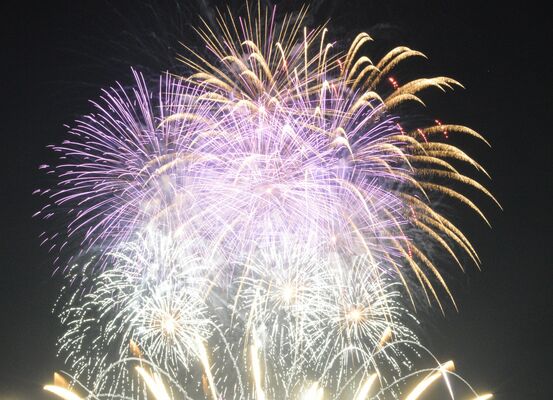 春の夜空を彩った打ち上げ花火