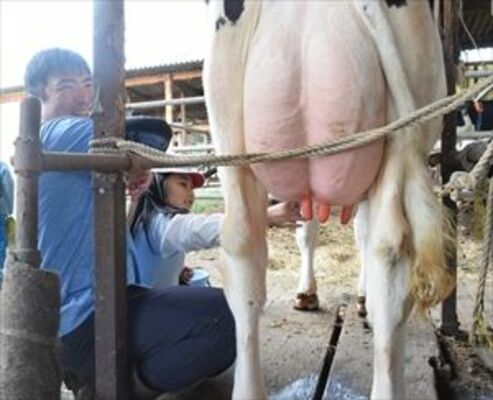 長島さん（左）に教わりながら乳搾りに挑戦する児童