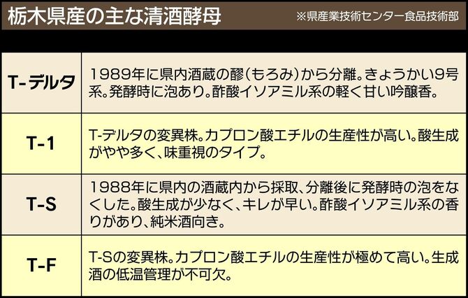 栃木県産の主な清酒酵母とその特徴