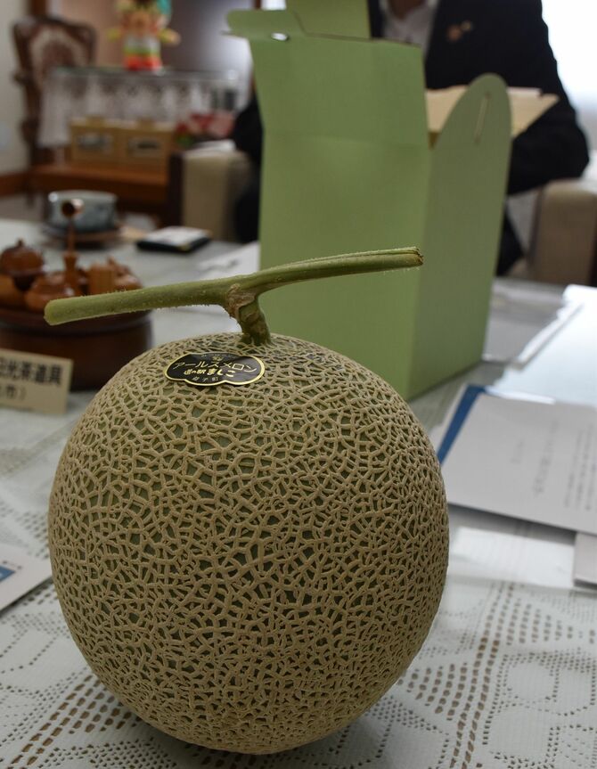 1本の木から一つの果実しか成らせないこだわりの栽培法で育てたアールスメロン=29日午前、県庁