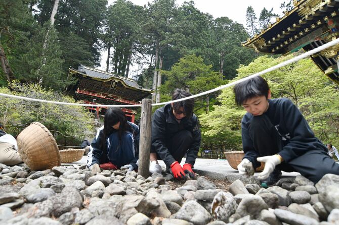 石を返して、ごみを取り除く参加者たち＝26日、日光山輪王寺大猷院