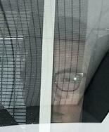 「ＸＧ」プロデューサーを再逮捕