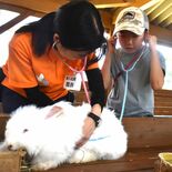 もふもふウサギを聴診　４年ぶりの飼育係体験ツアー　児童20人が県内の動…