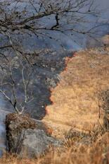 「山焼き」、点火の男性死亡