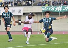 参入１年目大団円