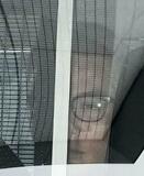 「XG」プロデューサーを再逮捕