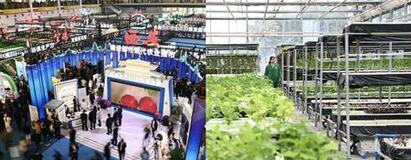 中国北西部の楊陵で農業ハイテクフェアーを開催し、農業技術協力を促進