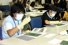 研磨フィルムで宝石作りに挑戦