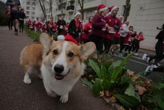 付き合うのも疲れる