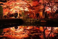 秋深まる境内　益子の円通寺で紅葉見頃【動画】