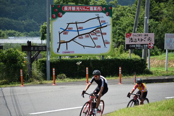 案内看板が長井地区の観光リンゴ園をアピールする