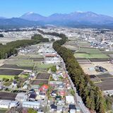 至宝日光杉並木、400年の時刻み次世代へ　成り立ちや現状、レンズを通して世界に誇る財産を見つめる