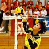 宇中女・宇中央、激闘制す　男子・足大付が５連覇王手　春高バレー県予選、決勝カード決定