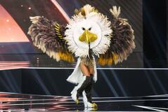 鳥人間コンテスト