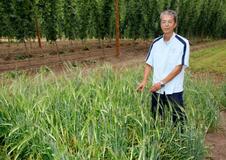 温暖化で缶ビールが８００円？