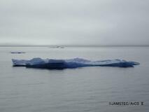 北極海へ熱輸送量１．５倍