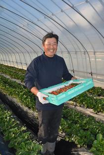 ＜149＞日持ち良く程よい甘み　　ＪＡはが野のイチゴ
