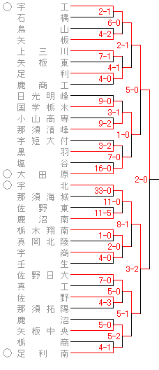第97回選抜高等学校野球大会 応援タオル 第97回選抜高校野球 2012 第94回全国高校野球選手権 甲子園 全出場校名入りタオル