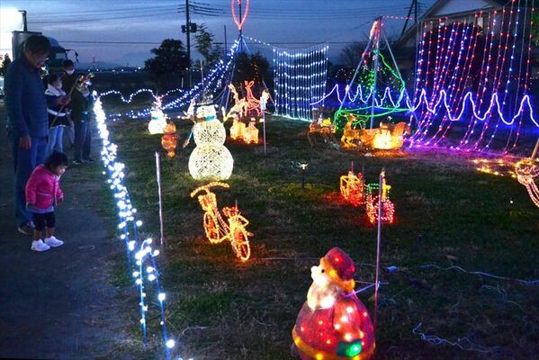 公園などを照らすイルミネーション