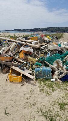 津波で海岸に流された漂流物の撤去作業を行った現場（石川さん提供）