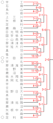 第94回全国高校野球選手権栃木大会 トーナメント｜高校野球