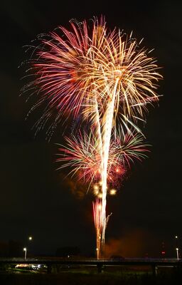 佐久山地区の夜空を彩る花火