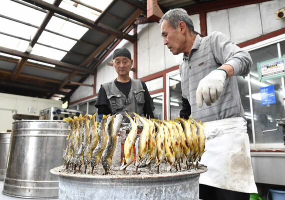 アユの塩焼きを調理するやなの従業員