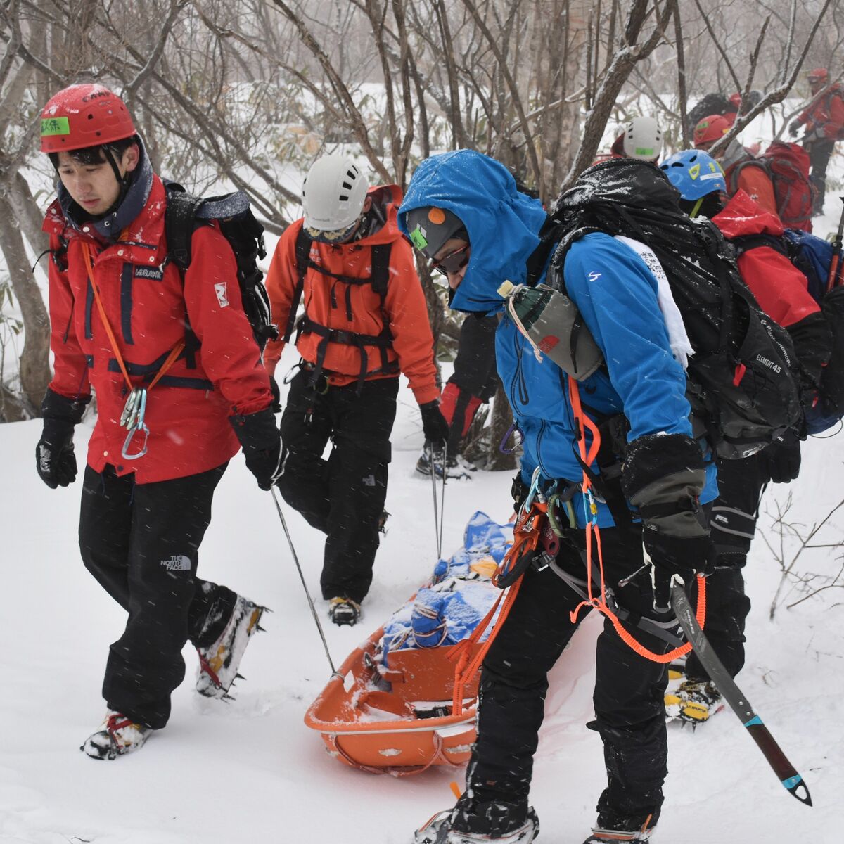 雪の中の遭難者を捜索 那須山岳救助隊が山麓駅周辺で救助訓練 「強風時