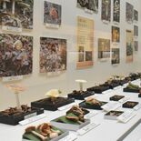 キノコの生態紹介　多種多様240点の標本など公開　那須野が原博物館で企…