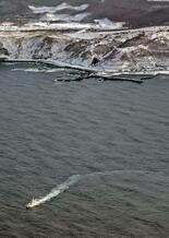 漁船乗組員1人、心肺停止で発見