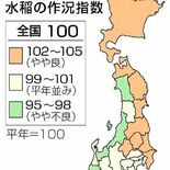 作況指数、栃木県が全国最高　日照長く、一定の降水量　2023年産米
