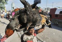 りくりゅう顔負け