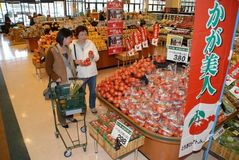 品種多様化とちぎのトマト　深い酸味　コクある「麗容」