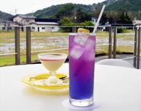 【グルメ探訪】色の変化も味わいに　バタフライピージンジャーエール　Ｙ’ｓ　ｃａｆｅ（佐野）