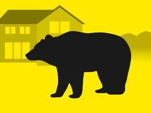 ヒグマがトウモロコシなど食べる