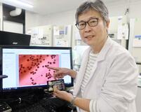 移植用臓器の製造拠点に