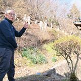 岩手・大船渡山林火災、栃木県援助隊活動に住民感謝　「家を守ってくれた」　下野新聞動画ニュースに自宅延焼防ぐ様子