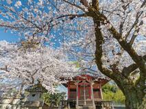 最優秀に関口さん（栃木）