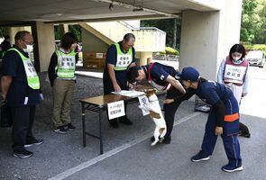 ペット同行避難者対応の訓練を行う市職員