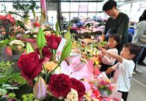 母の日直前　生花店にぎわう
