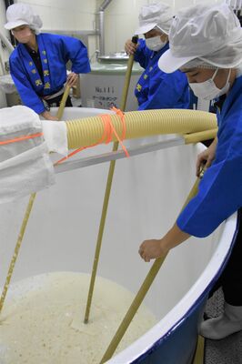 天鷹酒造で本格化した新酒の仕込み作業