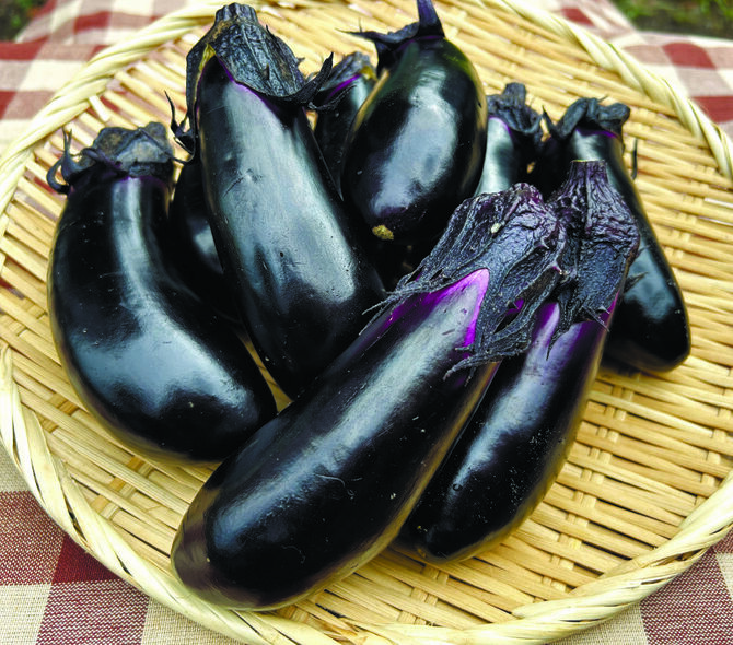 つやがあり、形や色、味に優れた「那須の美なす」