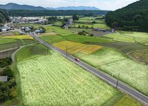 里山は秋色、ソバの花見ごろ　日光・長畑地区
