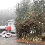 日光や那須塩原、宇都宮などで降雪　午前10時現在、県内４地点で氷点下