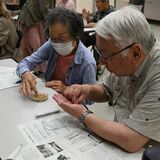 宇都宮の「幻の陸稲」エソジマモチ　栽培復活の経緯を紹介「市民が誇る財産」