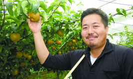  自然の恵みで高品質の梨を　　　 JAはが野の梨