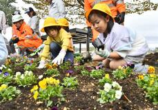 東北道に花の彩り